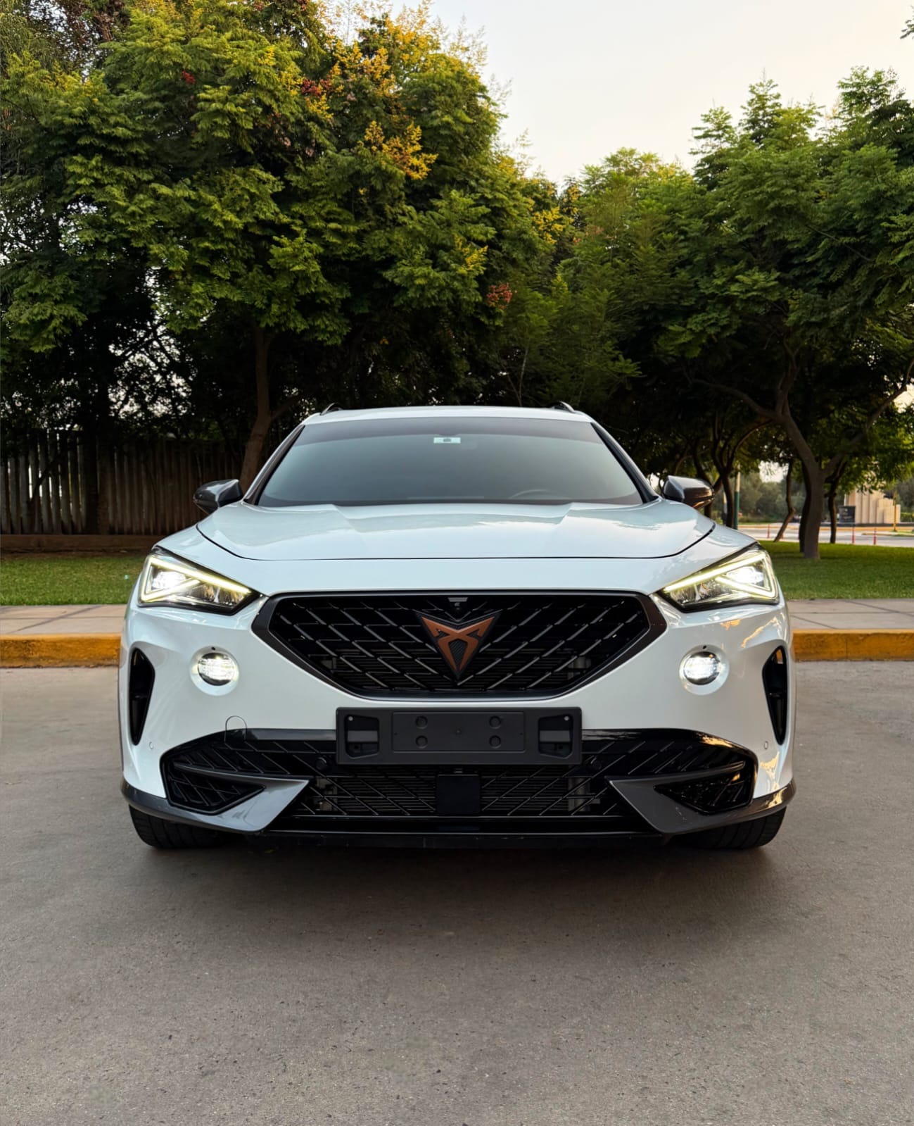 CUPRA Formentor VZ 2.0 Turbo TSI